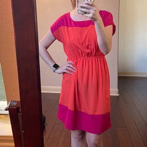 Coral Pink Colorblocked Knee Length Dress